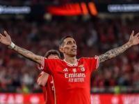 九游-包含加时末段体能课后，本菲卡扳平良机备战德国杯，更衣室稳定，赛季目标并未改变的词条